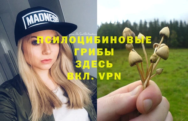 стафф Алзамай