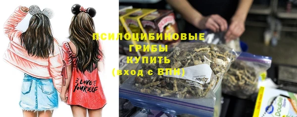 стафф Алзамай